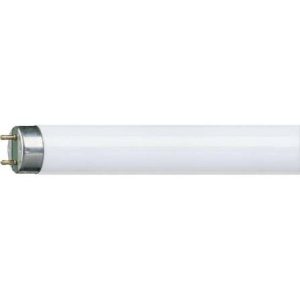 FLUOR TUBE 4FT 36W C/WHITE OSAM
