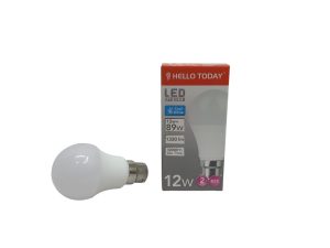 HELLO TODAY 12W BULB B22