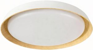 LED CEILING LIGHT