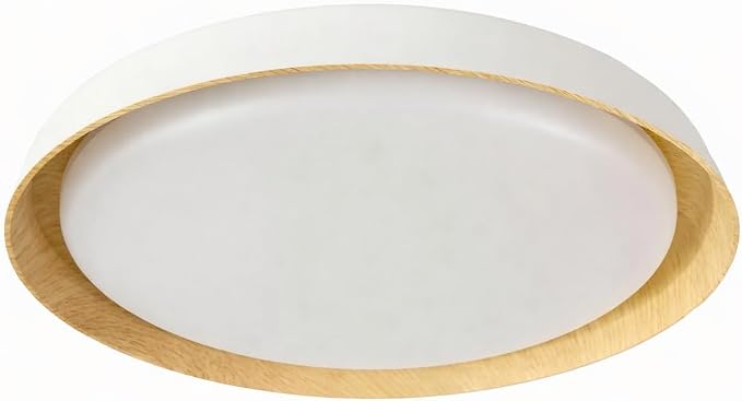LED CEILING LIGHT