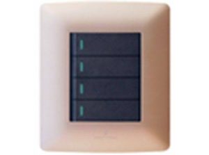 HELLO TODAY 4X2 ROSE GOLD 2 LEVER SWITCH