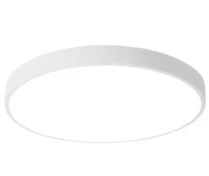 CEILING LIGHT