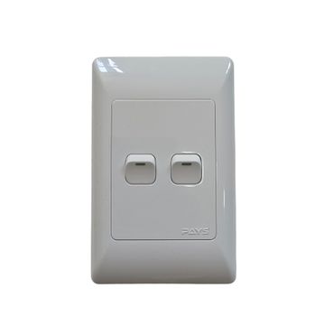 PAYS WALL SWITCH 2 LEVER 4X2