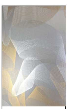 PVC CEILING RS10